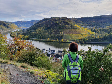View from the Lenus-Mars-Route of Karden and the Moselle